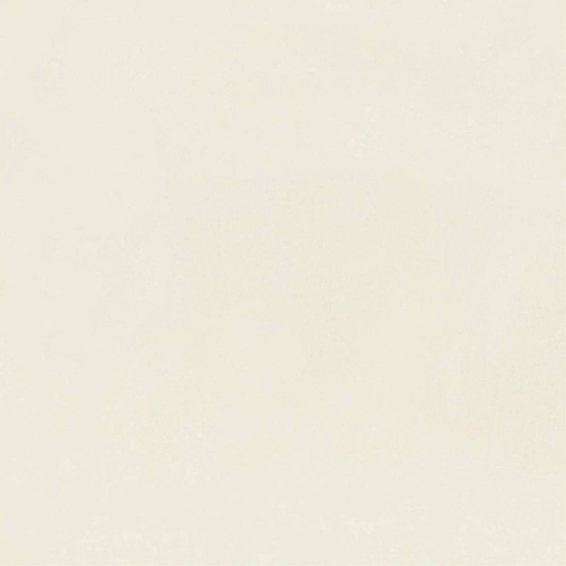 Phoenix Rectified Porcelain Tile 40x40 White Matte for floors and walls