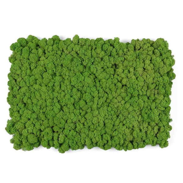 Living  Moss Wall Tile